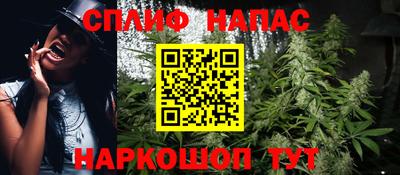 стафф Новозыбков
