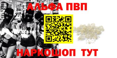 стафф Новозыбков