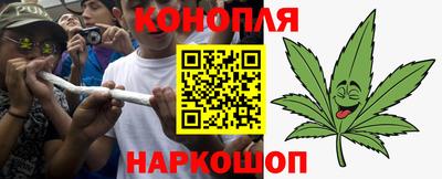 стафф Новозыбков